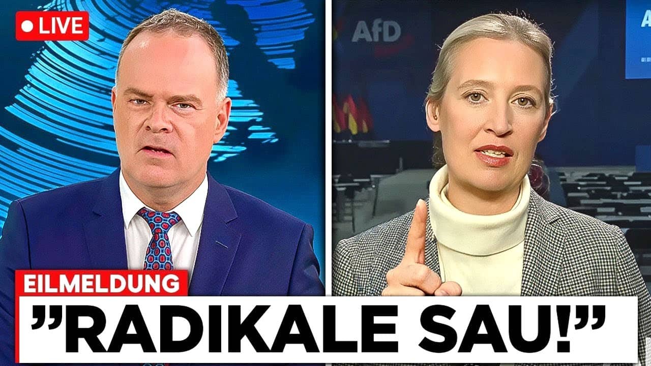 Reporter BELEIDIGT Weidel im Heute Journal und bereut es sofort!